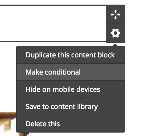 Conditional content block – active campaign